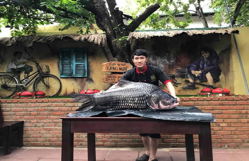 Cá hô khủng Biển Hồ cập bến Làng Nghệ